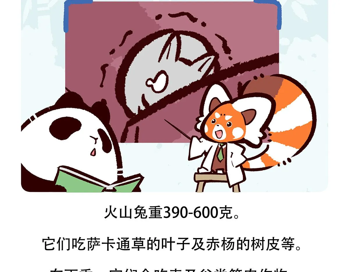 第115话 第27页