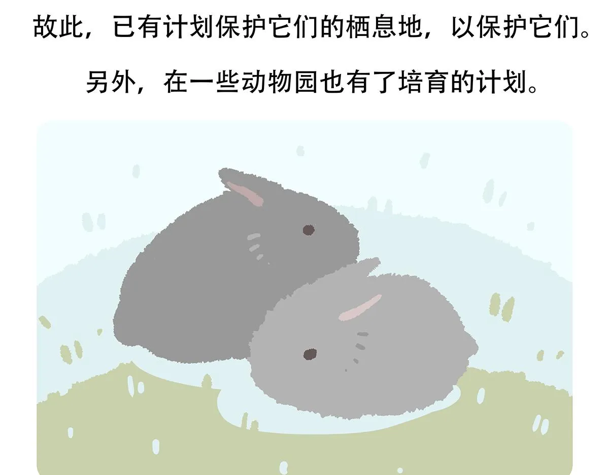 第115话 第31页