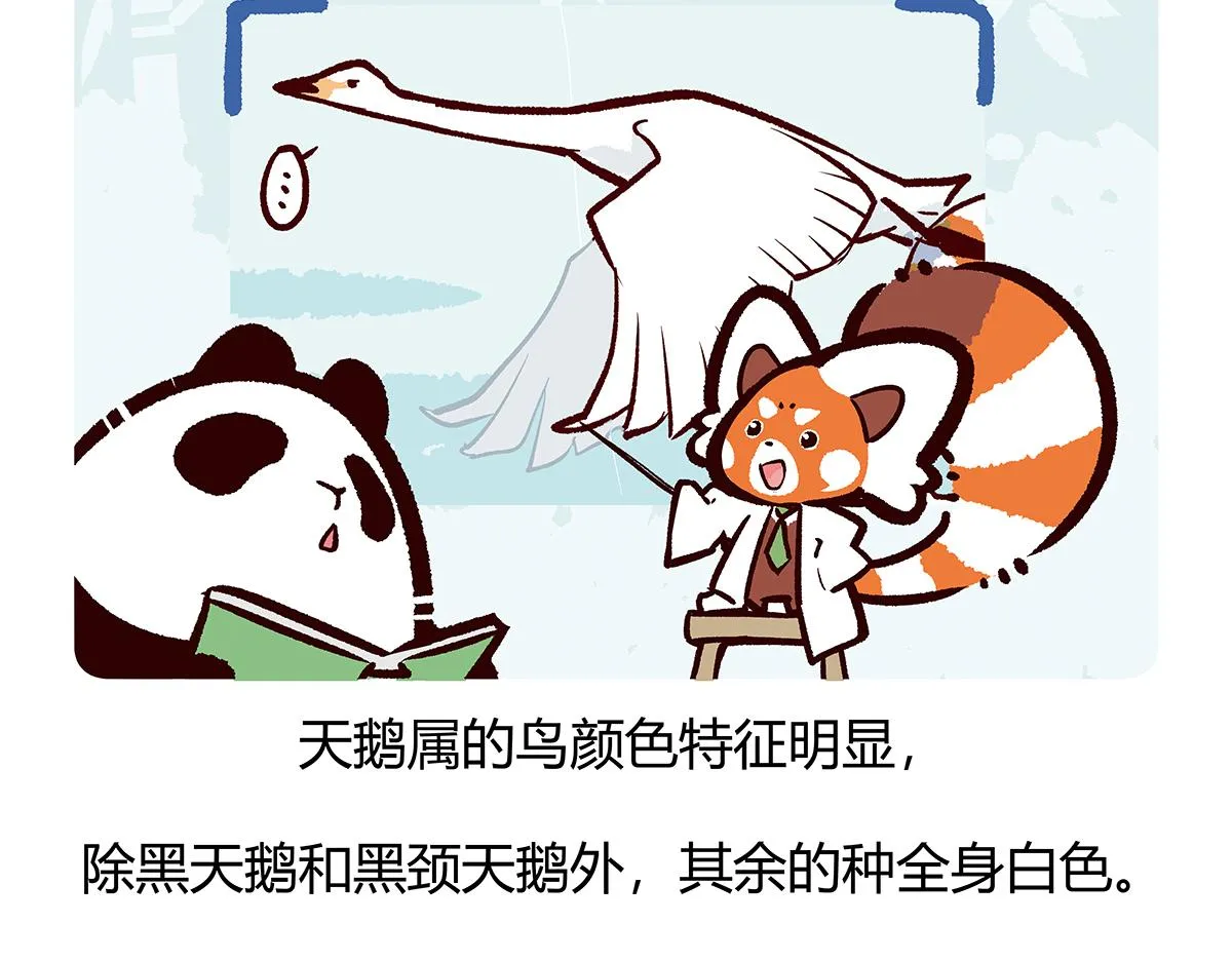 第114话 第26页