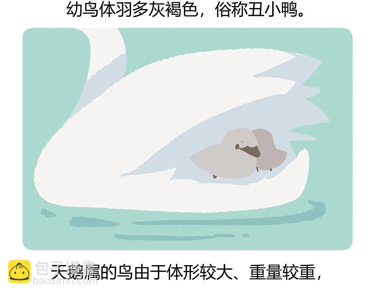 第114话 第27页