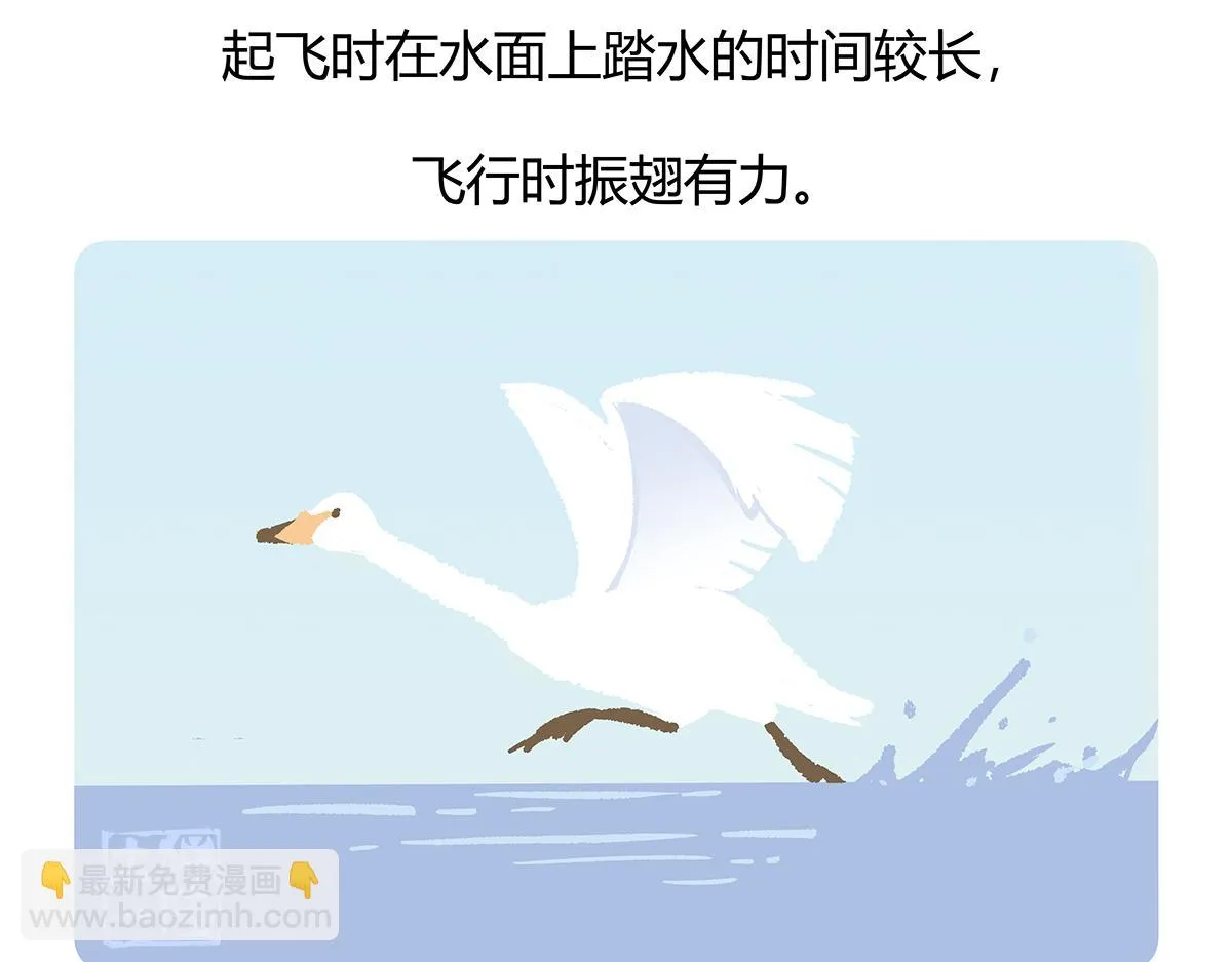 第114话 第28页