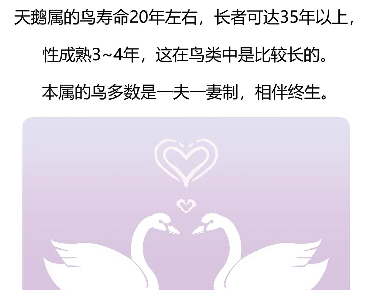 第114话 第30页
