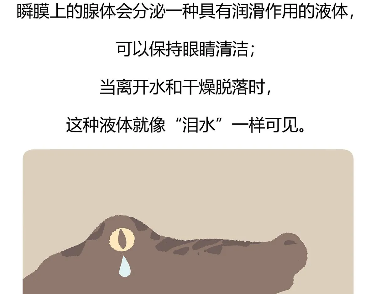第113话 第27页