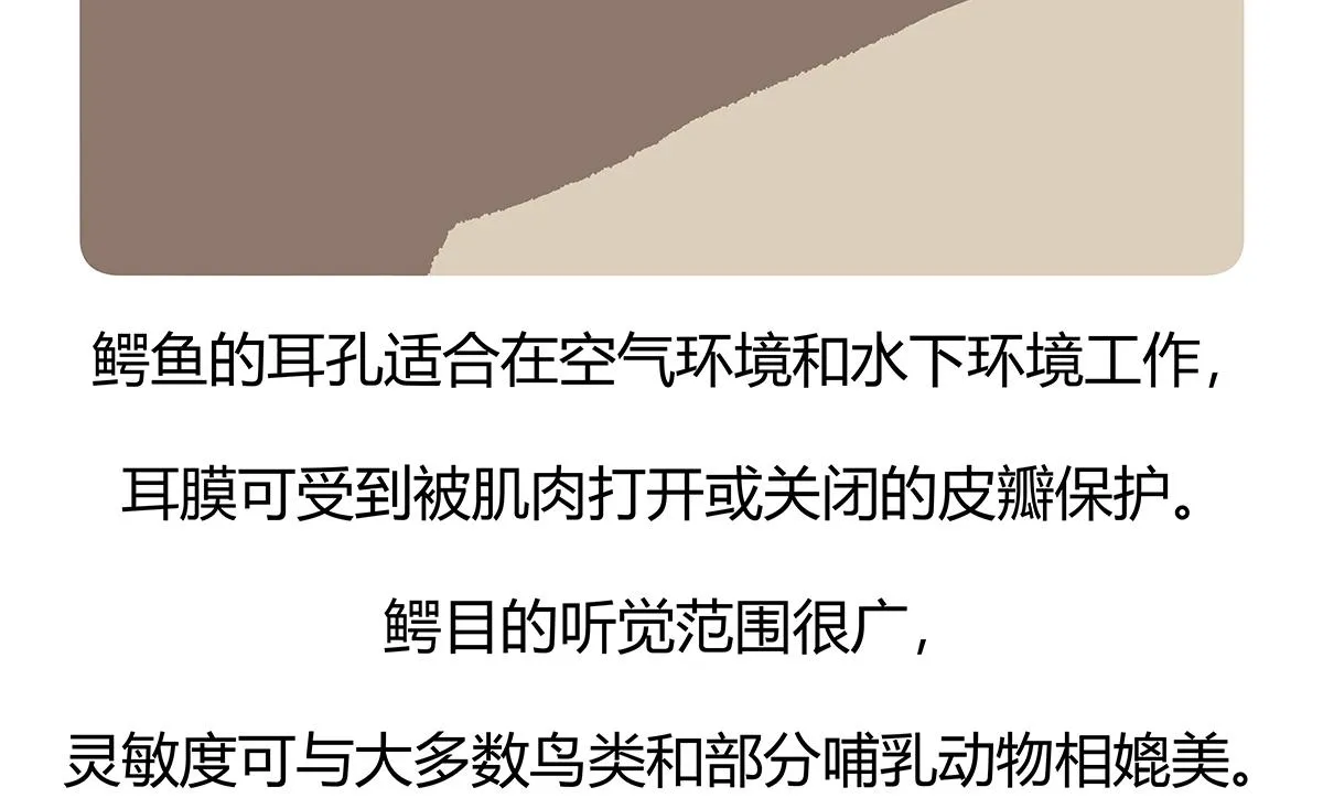 第113话 第28页