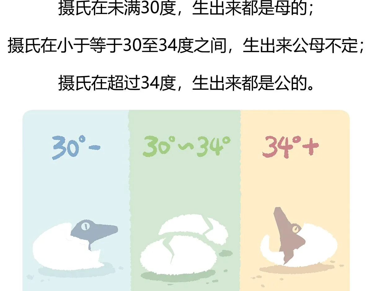 第113话 第30页