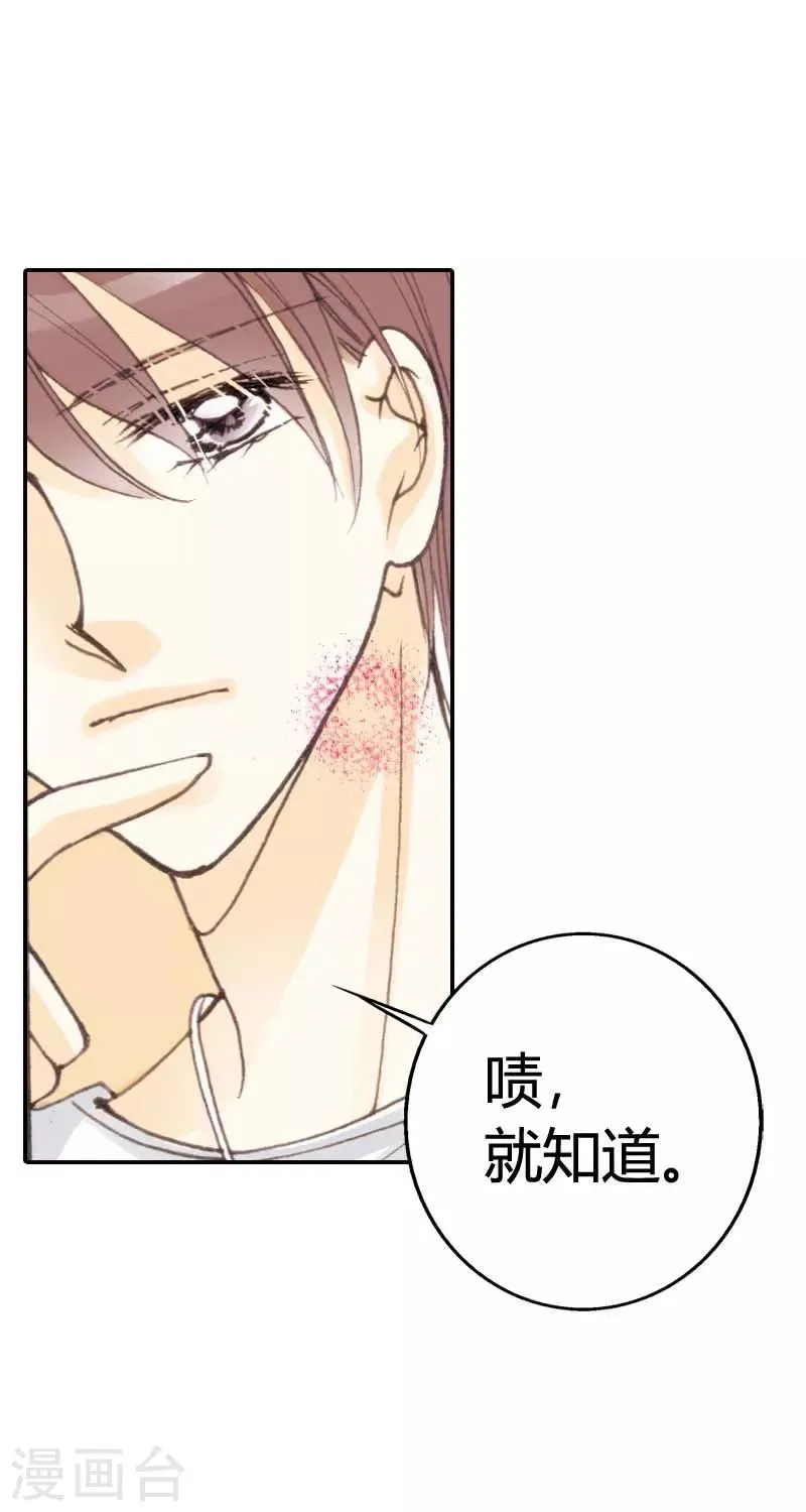 第15话 第19页