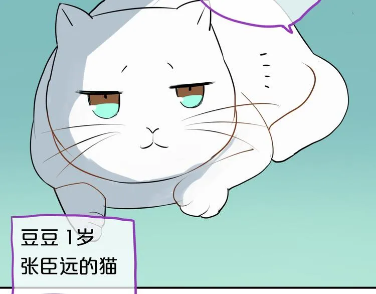 特别番外篇 第13页