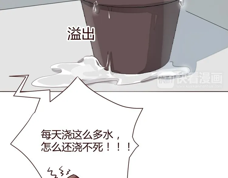 第1话 最帅仙人掌登场！ 第26页