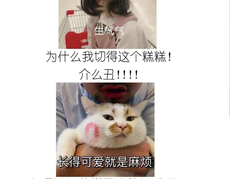 仙女的切糕 第55页