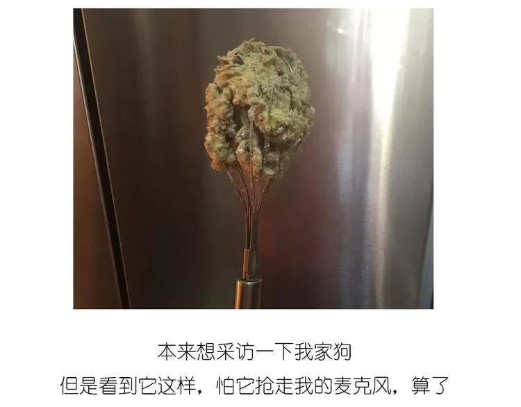 圣诞小屋 第5页