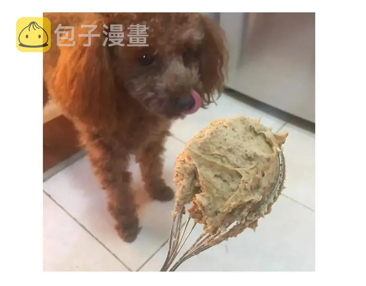圣诞小屋 第6页