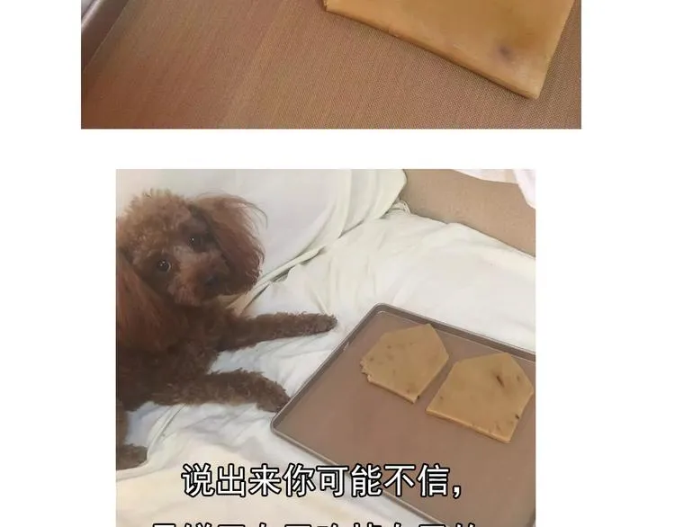 圣诞小屋 第16页
