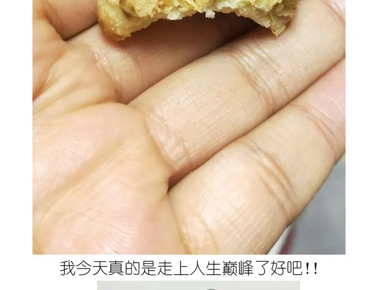 仙女全麦兔仓鼠饼 第39页