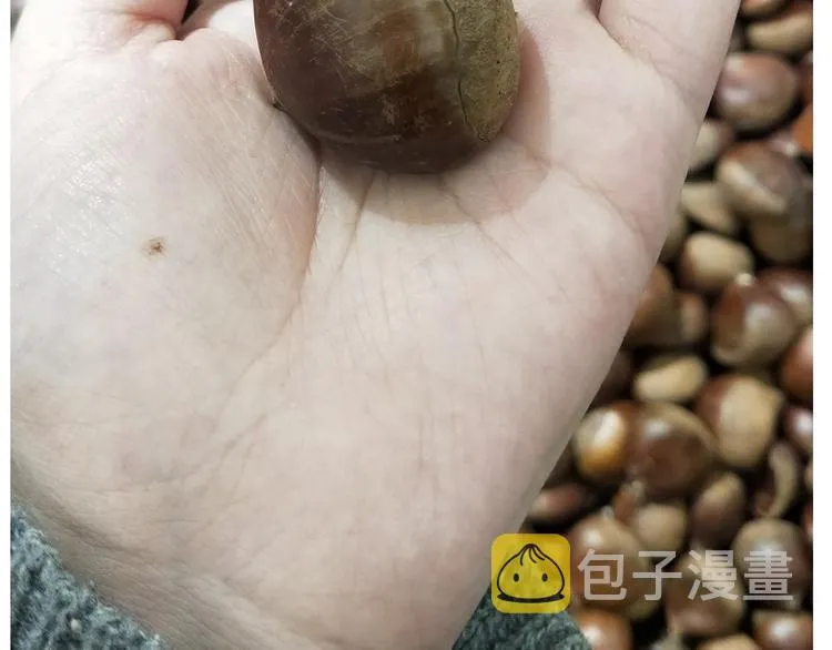 仙女新年不方便泡面 第4页