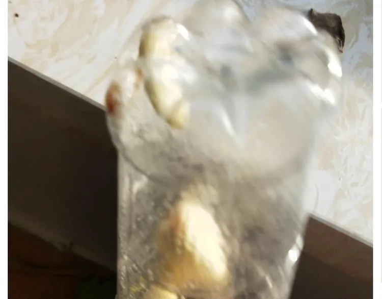 仙女的油泼面 第20页