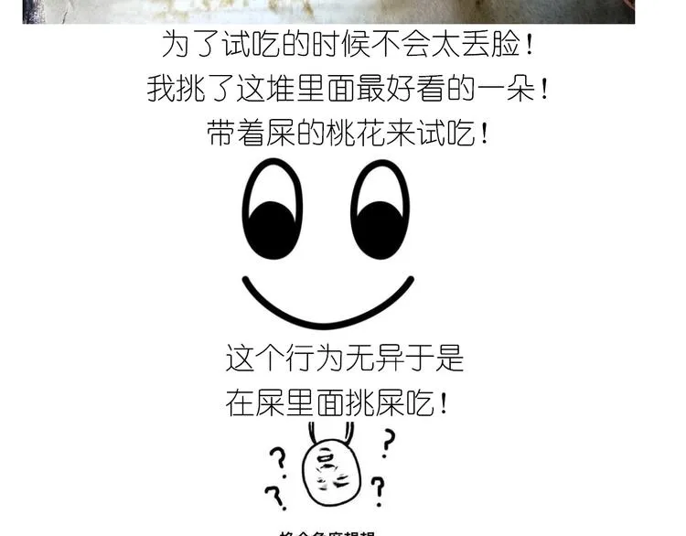 仙女的小桃花 第42页