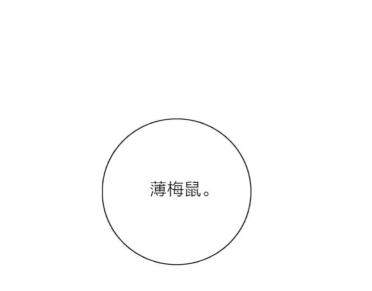 第20话 庆功宴上的回忆 第1页