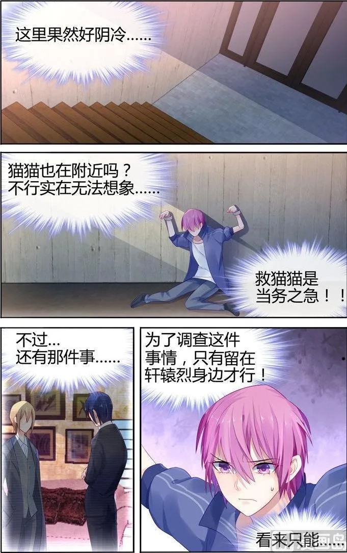 第18话 法之契约 第5页
