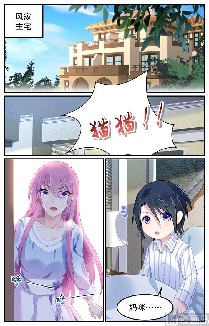 第107话 猫猫出事了 第1页