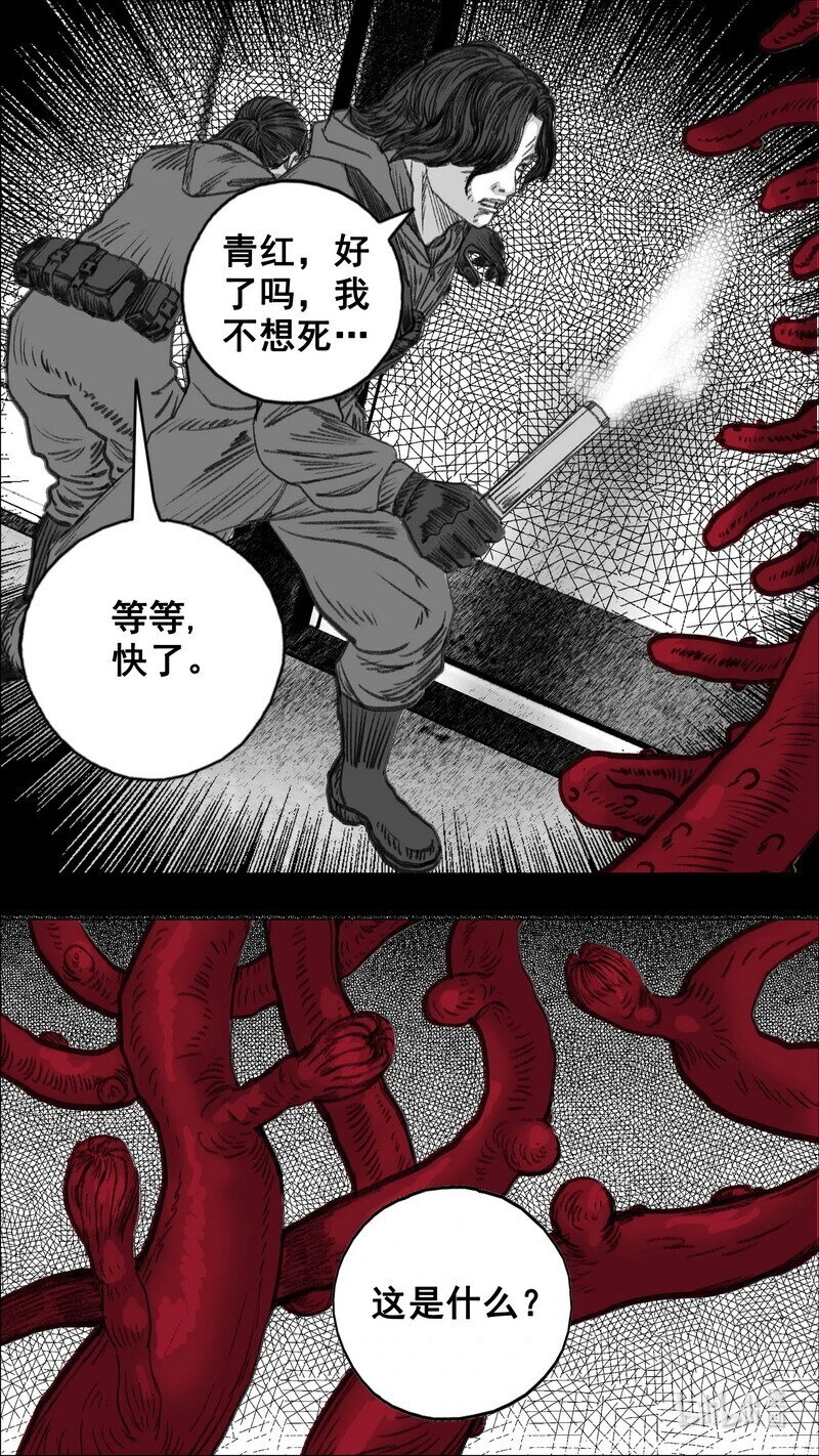 297 红色迷宫 第19页