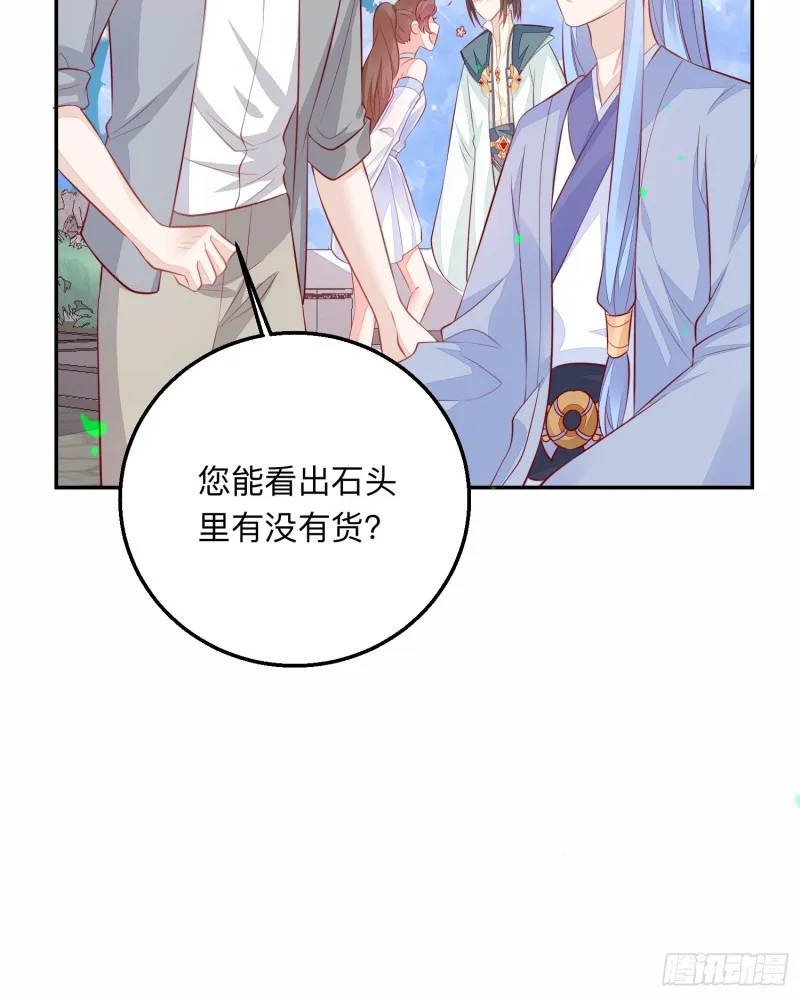 五十万的石头 第42页