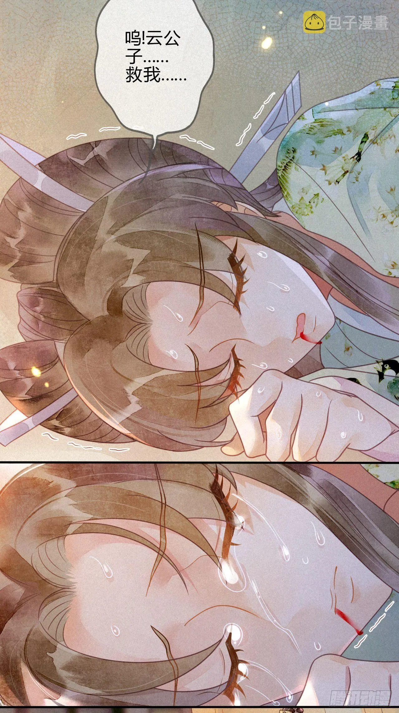 40琉璃泪：心生羡慕 第11页