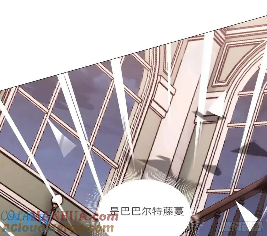Ch.146 舞会前奏 第13页