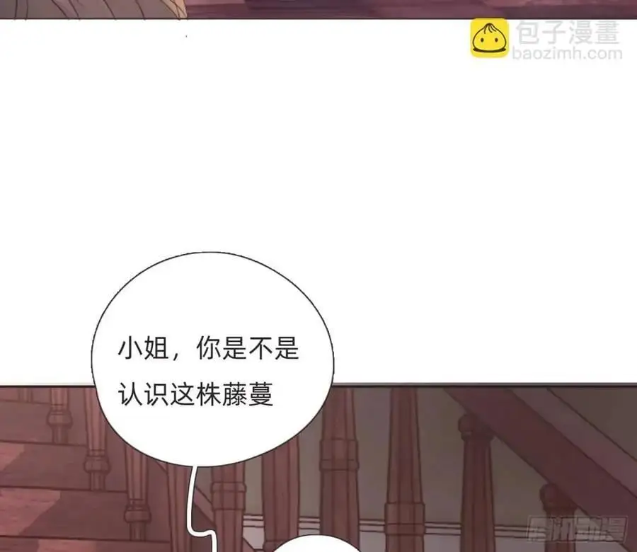 Ch.146 舞会前奏 第26页