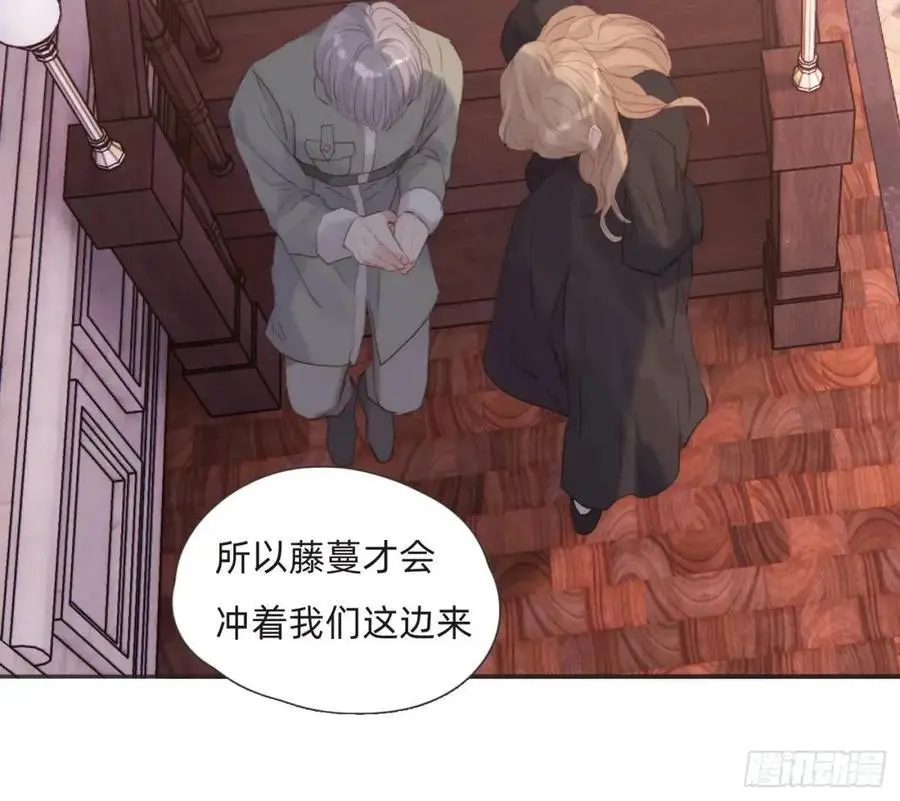 Ch.146 舞会前奏 第38页