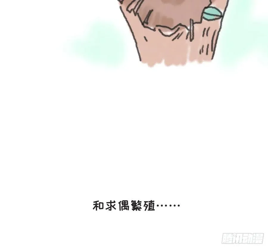 动物世界小番外3 第6页