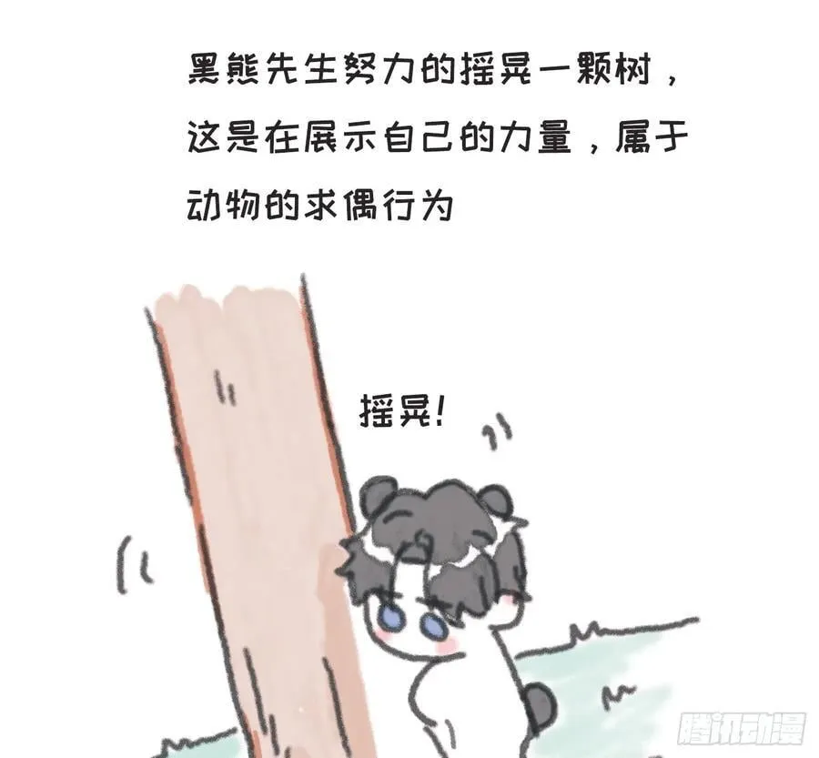 动物世界小番外3 第12页