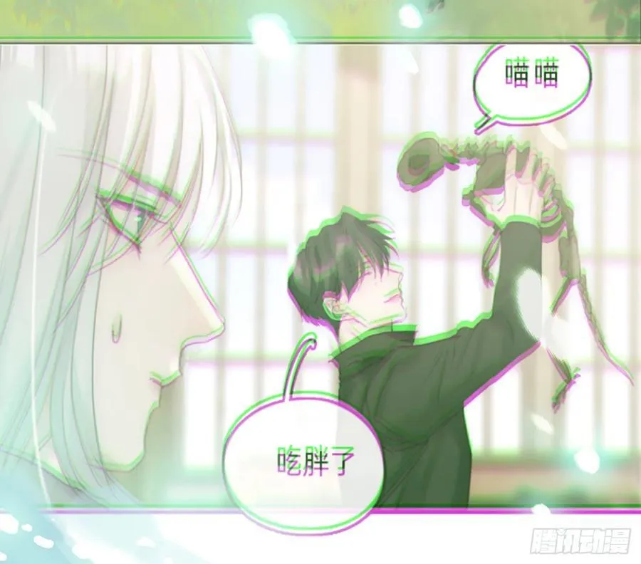 Ch.213 宿命 第71页