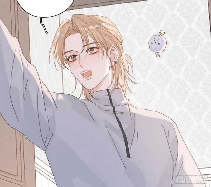 Ch.223 云后的星星Ⅱ 第12页