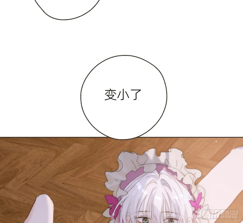 生日特辑·变小篇 第13页