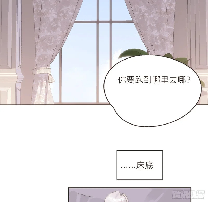 生日特辑·变小篇 第46页
