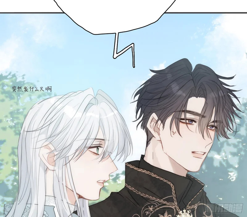 Ch.225 关于爱人变回宿敌这件事 第13页