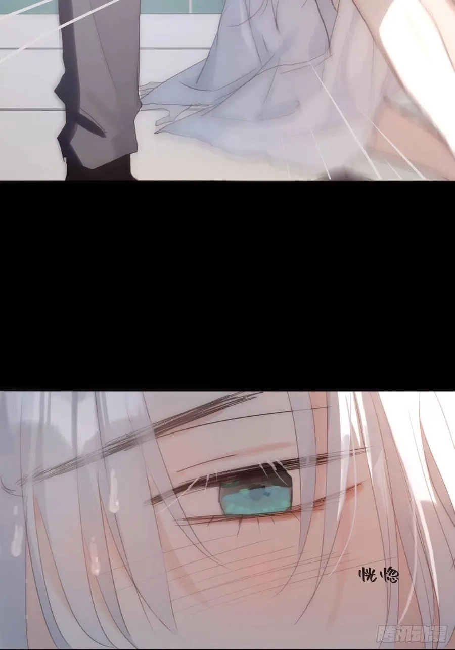 Ch.48 给你三个选项 第20页