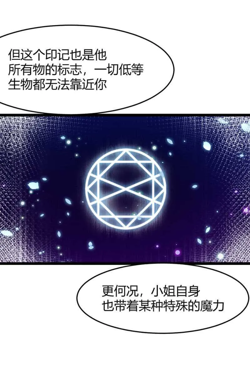特殊的魔力 第11页