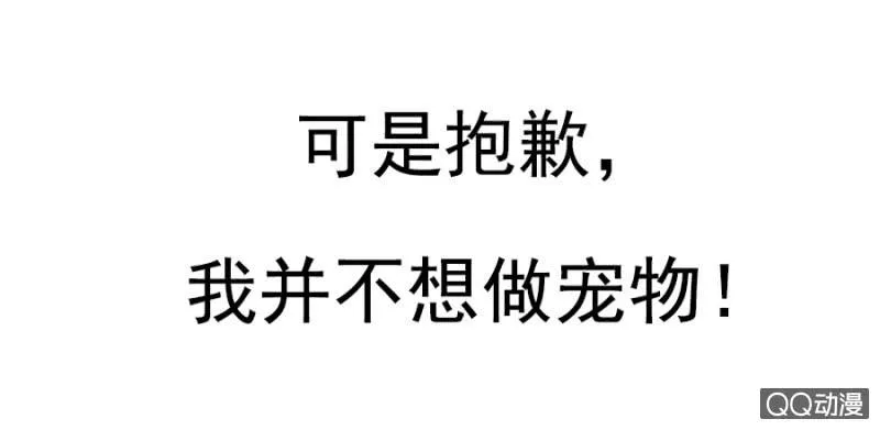 预告 第20页
