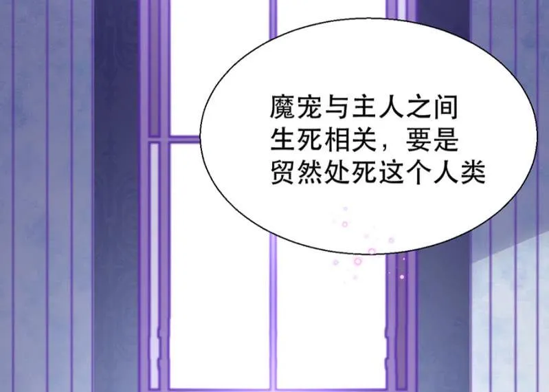 王子的血宠 第13页