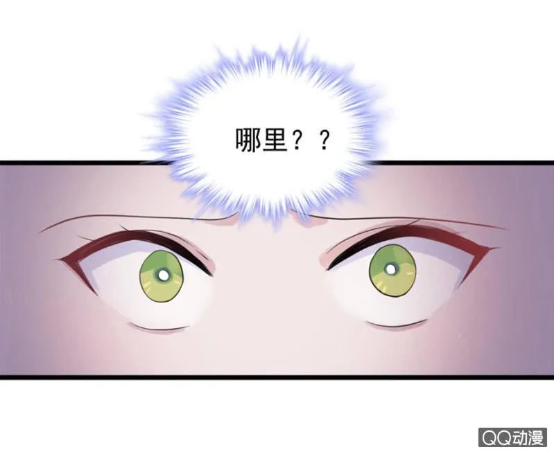 莱斯特 第17页