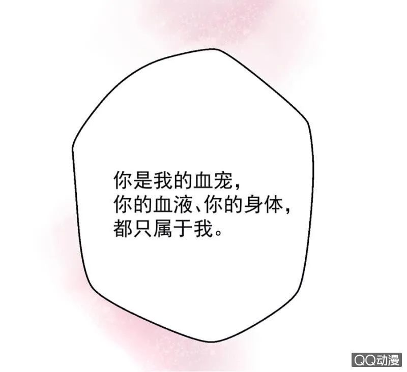 莱斯特 第36页