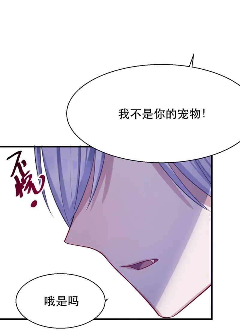 宠物的样子 第5页