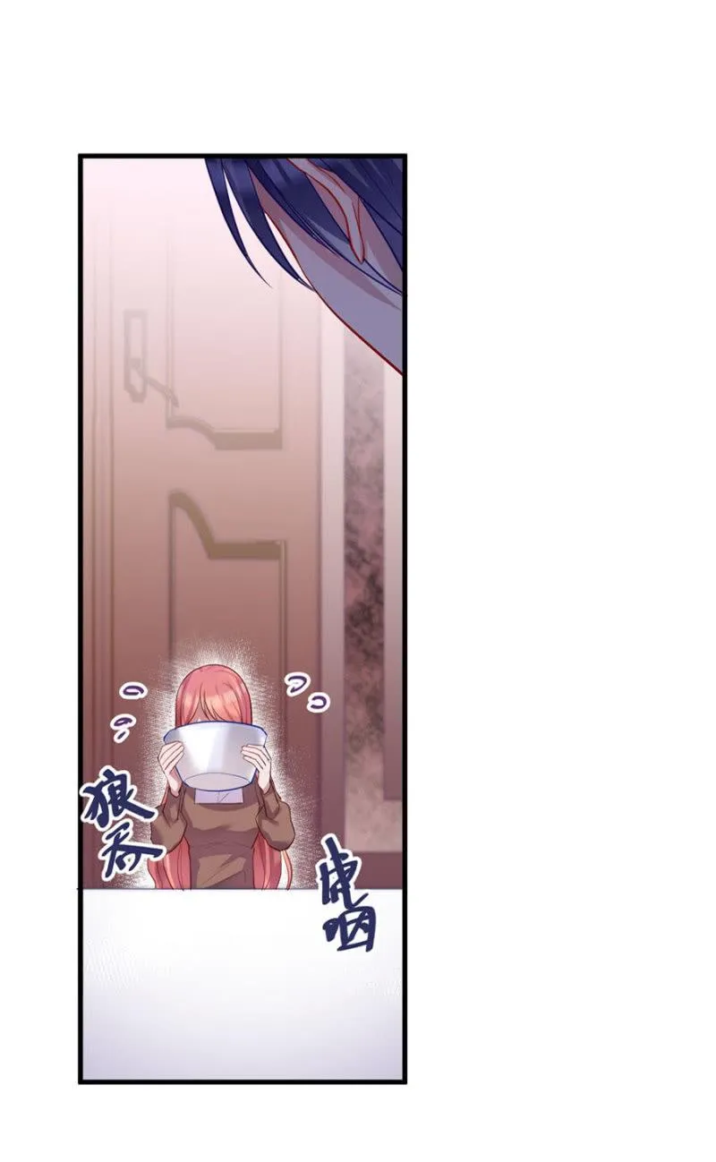 宠物的样子 第17页