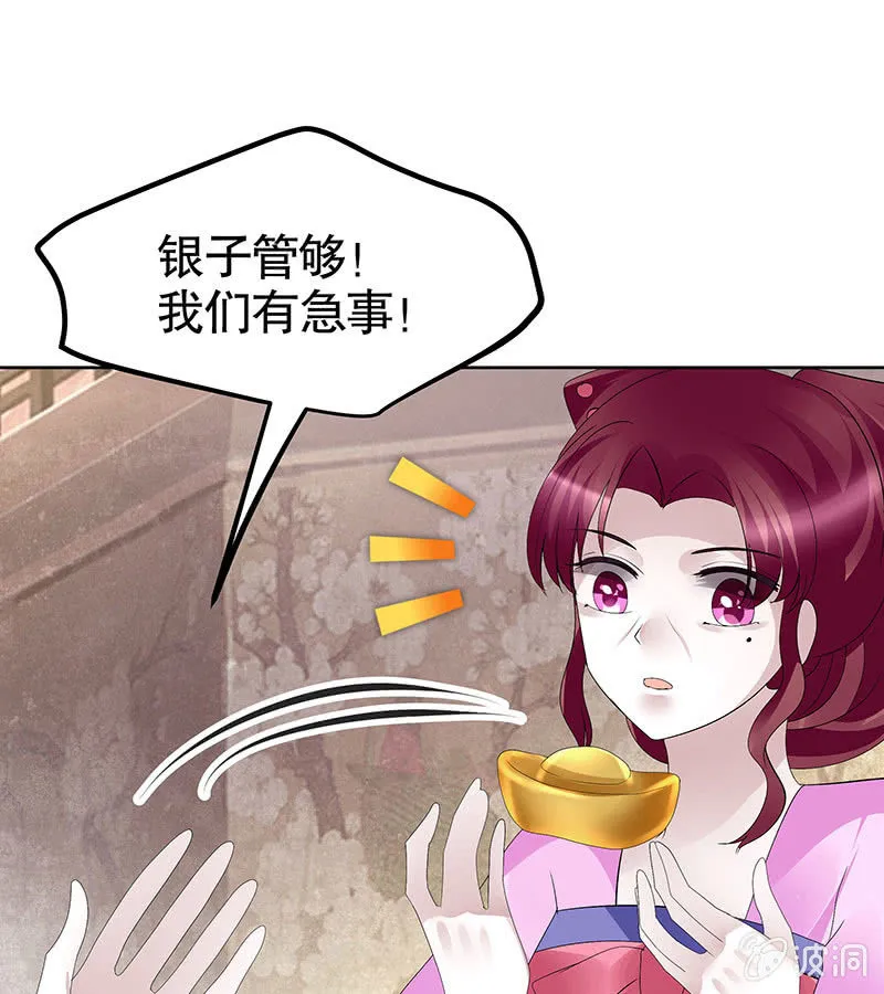 第116话寻仙阁一日游 第37页
