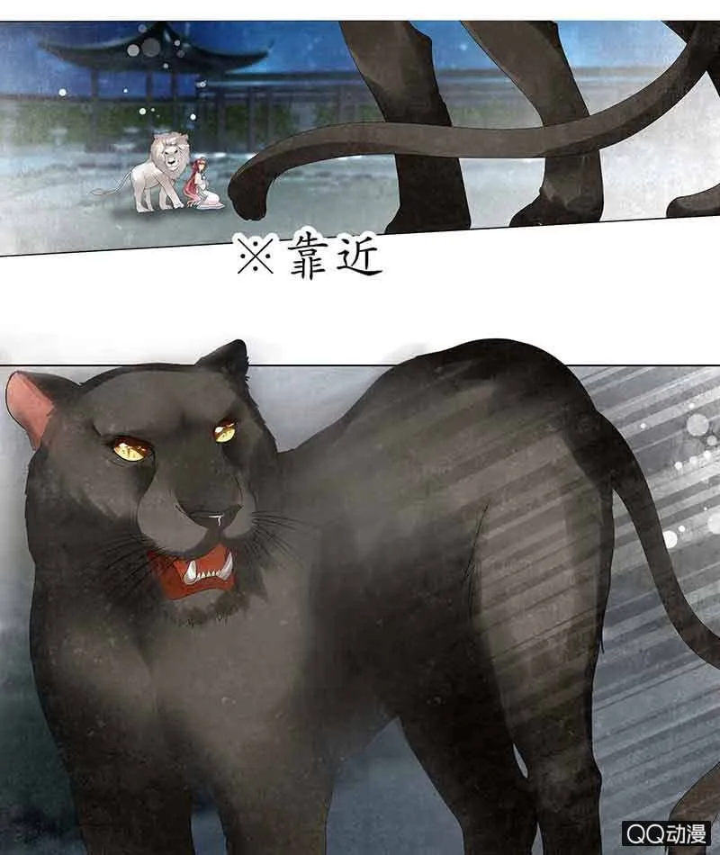 第23话 业火丛生 第5页