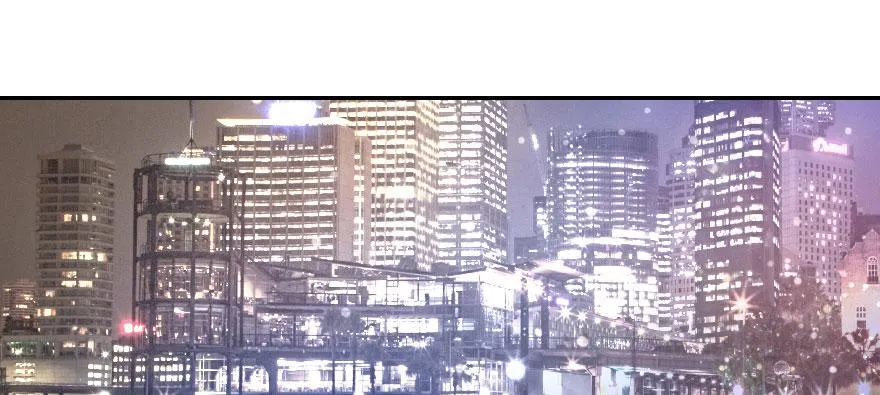 梦想与爱情 第74页