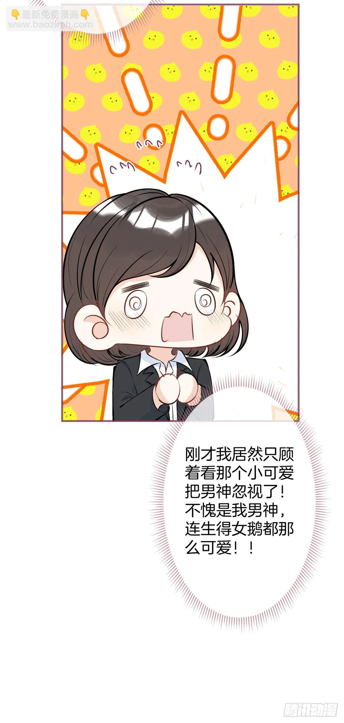 27 第13页