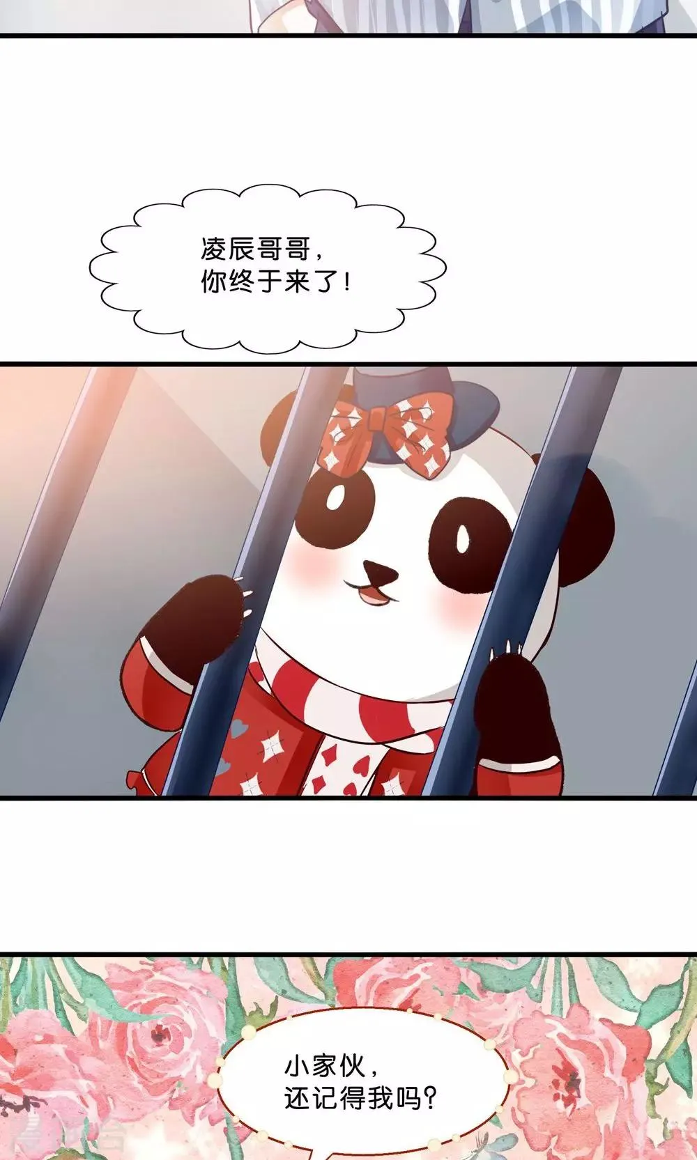 第4话 萌熊拳出击！ 第13页