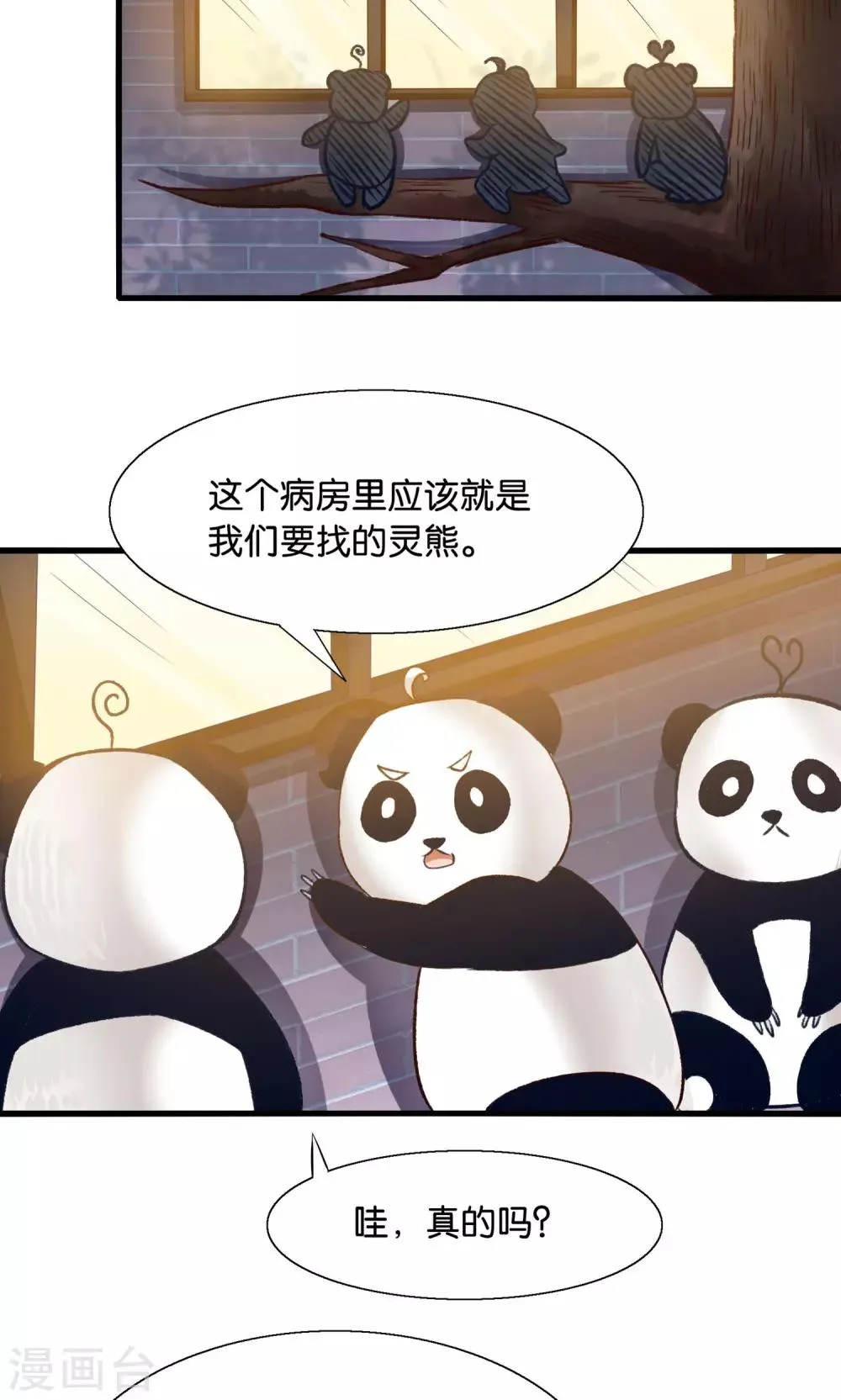 第12话 灵熊出没请注意 第2页